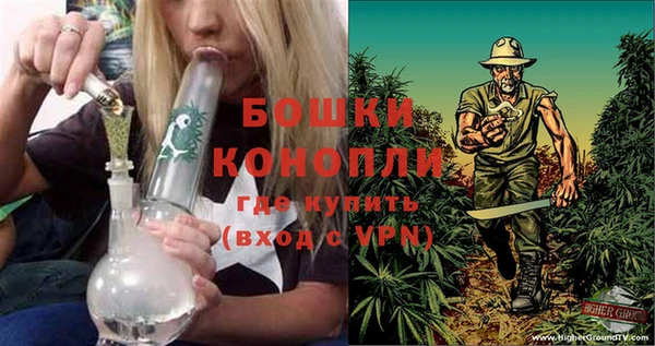 мяу мяу мука Белокуриха