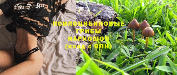 мяу мяу мука Белокуриха