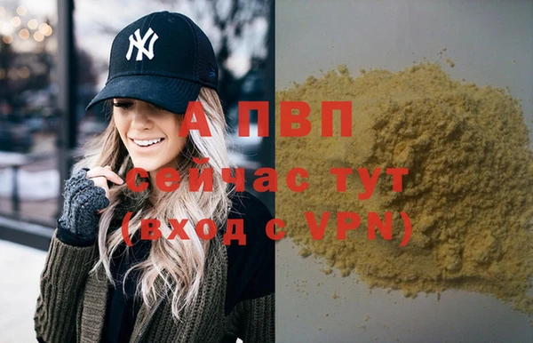 мяу мяу мука Белокуриха
