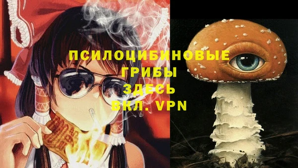 дмт Белоозёрский