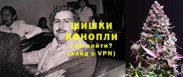 мяу мяу мука Белокуриха