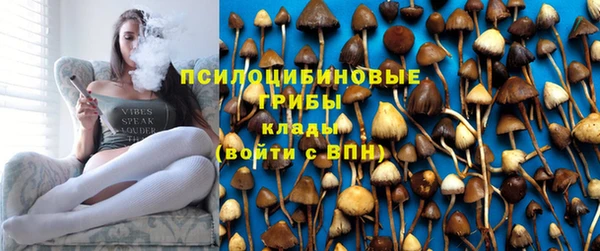 дмт Белоозёрский