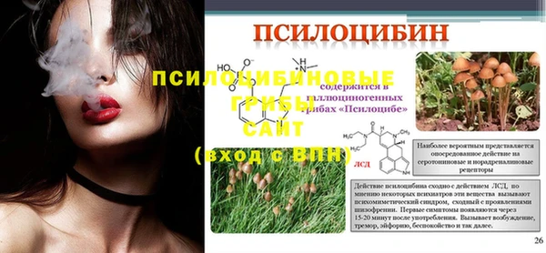 мяу мяу мука Белокуриха