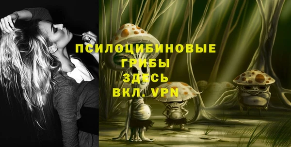 дмт Белоозёрский