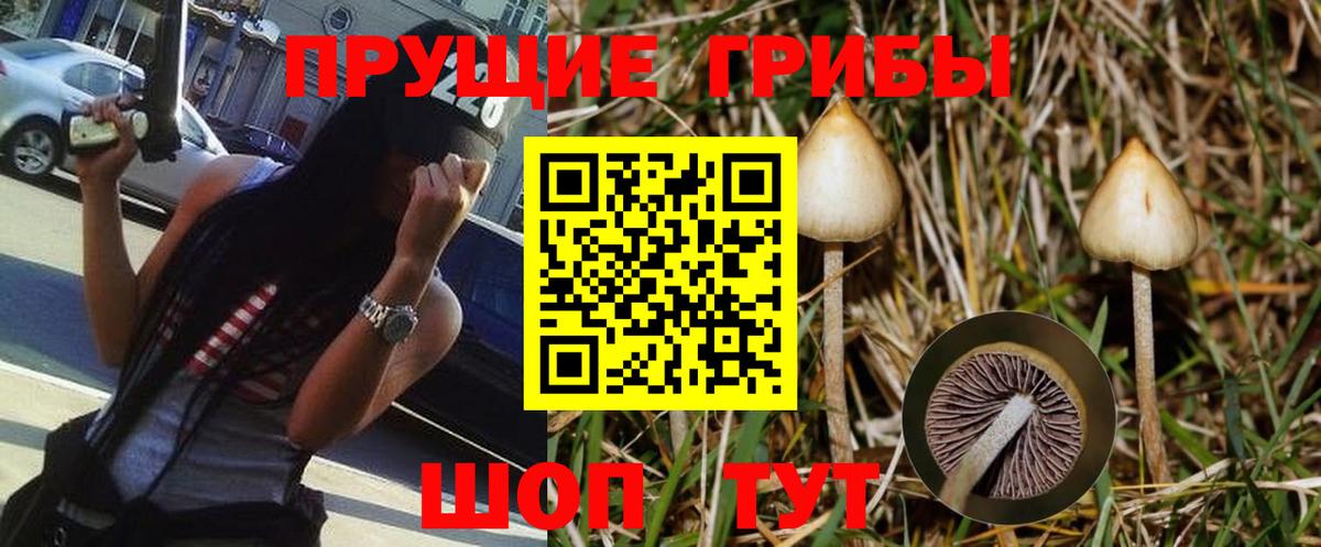 Псилоцибиновые грибы MAGIC MUSHROOMS Малоярославец