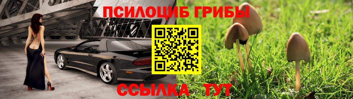 Малоярославец  Псилоцибиновые грибы Psilocybe  Вход с VPN 